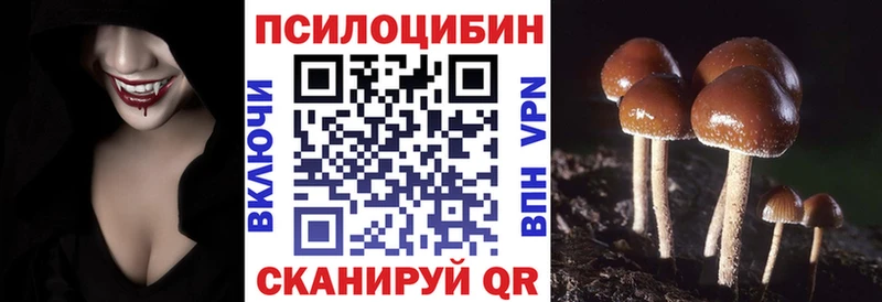 Купить закладки  Циолковский  Псилоцибиновые грибы мухоморы 