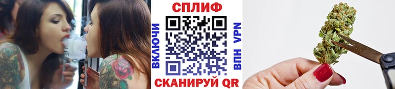 Купить закладки  Циолковский  Бошки марихуана VHQ 